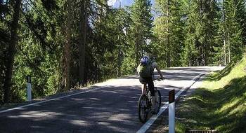 mountainbike-weg-en-bos
