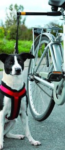 Honden fietsbeugel
